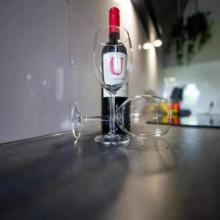 S Haven בית נופש Eibergen